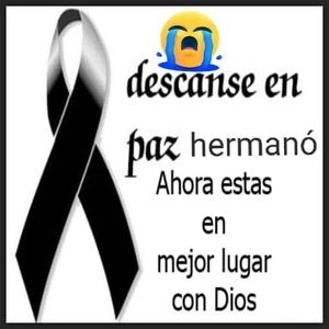 Meet your Posher, Marbella